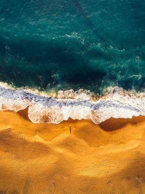 Seaside Serenity