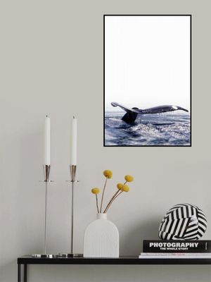 Whale Song Tail Fin