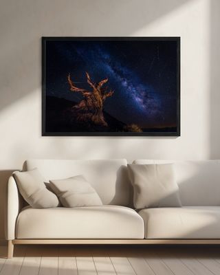 Shooting Stars Night