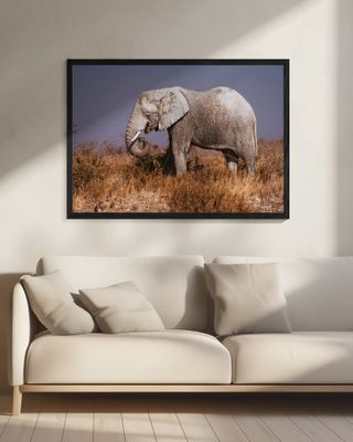 Elephant in Etosha