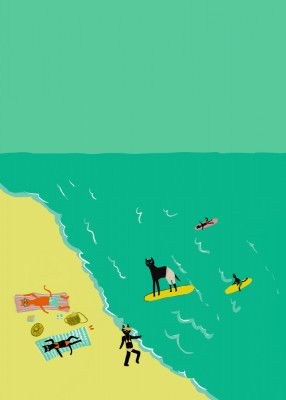 Cats beach day humour surfing