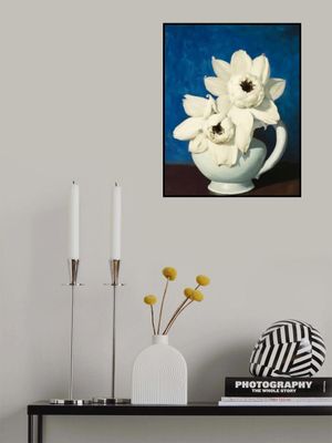 White Petal Symphony