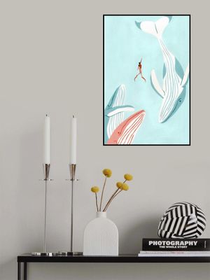 Swimming with Whales