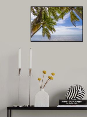 FLORIDA Gorgeous Oceanside