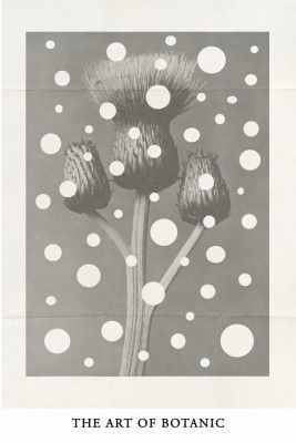 The art of botanic No.2