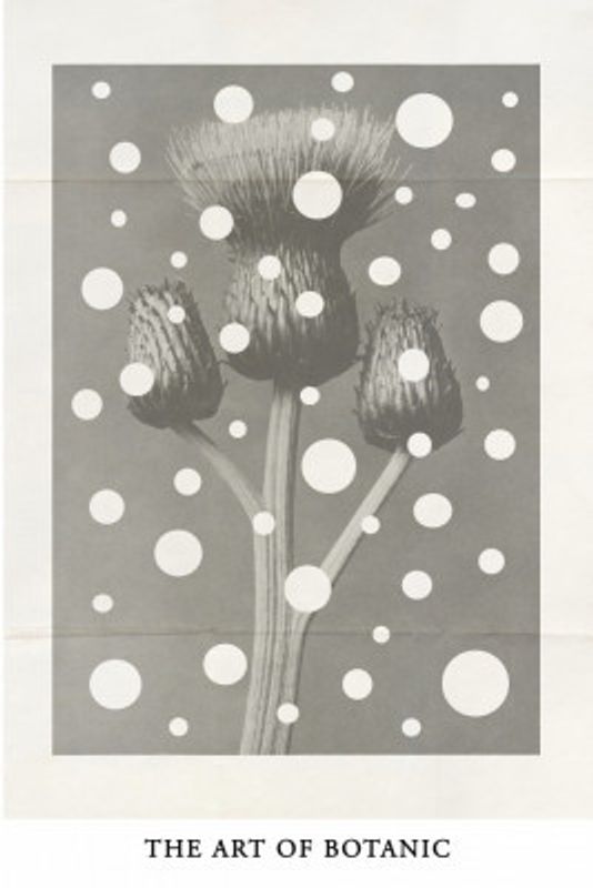 The art of botanic No.2