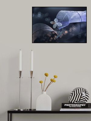 Fantasía de invierno...