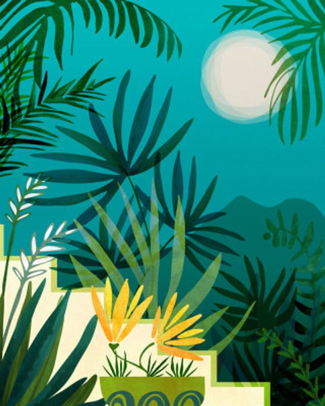 Rainforest With Moonlight