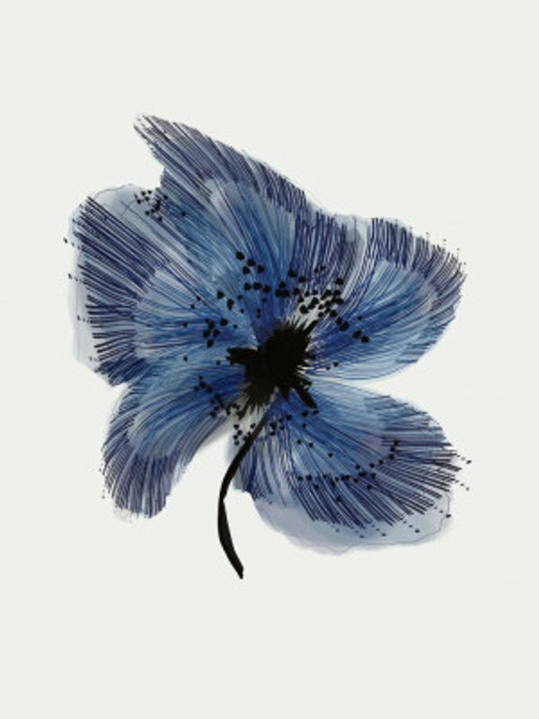 Blue Flower 3