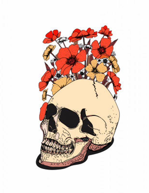 Skull And Flowers