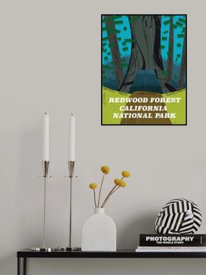 Redwood Forest California National Park Travel Poster