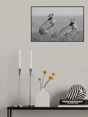 What's going on here around?