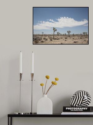 Beauty Of A Desert Landscape