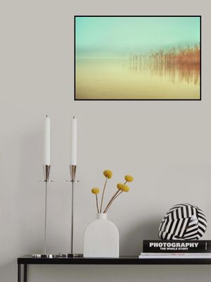 Just a peaceful moment