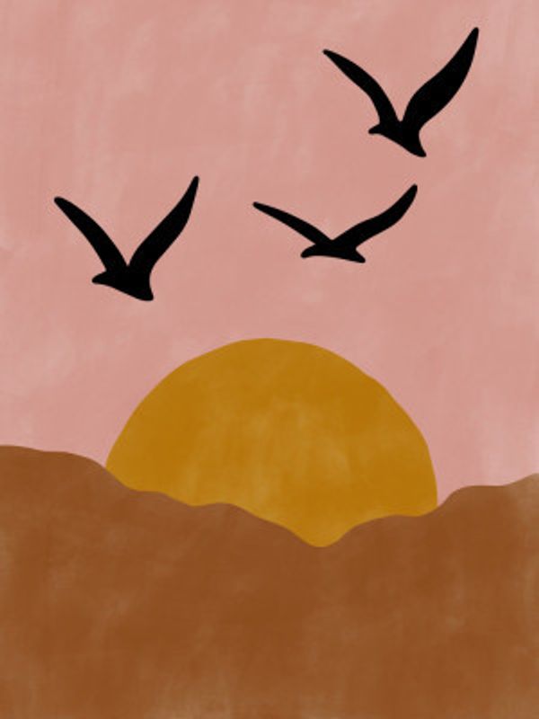 Sunset With Three Silhouetted Birds Flying