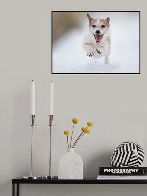 Playing in the snow#1