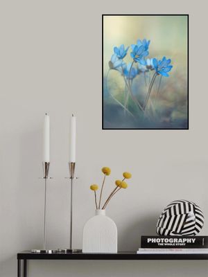 Memories of a spring