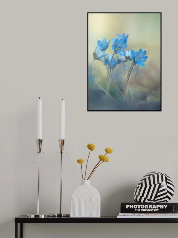 Memories of a spring