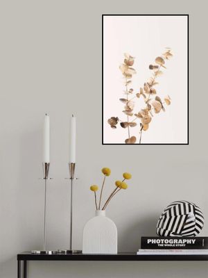 Eucalyptus Gold No 02