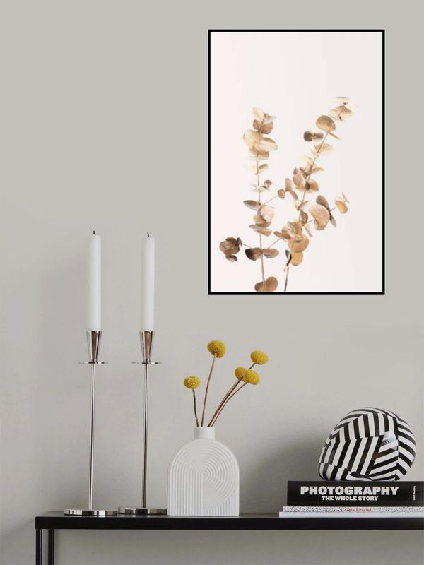 Eucalyptus Gold No 02