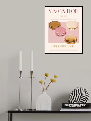 French Macaron Delight