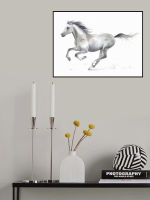 Dynamic Grace of A Galloping Horse