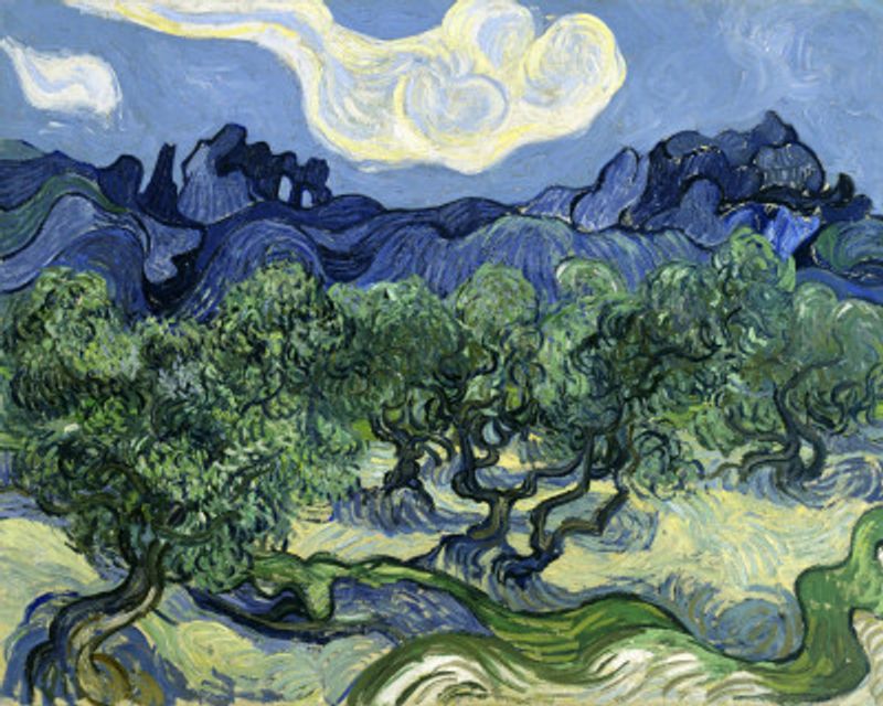 Vincent Van Gogh's Olive Trees With the Alpilles In the Background (1889)