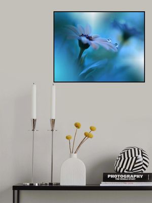 Beyond the Visible...