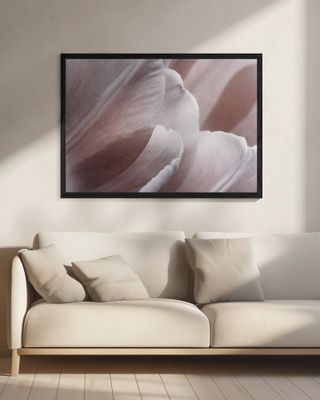 Pink Macro Flower Photo 1