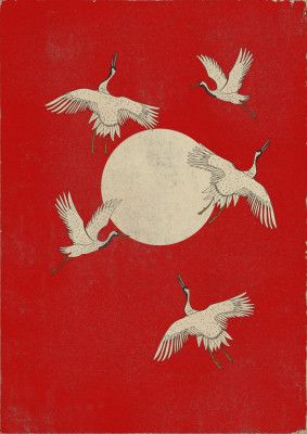 The Beautiful Flying Cranes