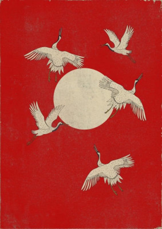 The Beautiful Flying Cranes