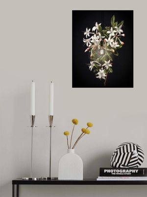 Illuminated Art -  the Flowering Azalea
