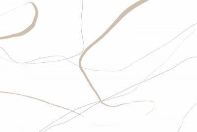 Beige And Gray Lines On A White Background