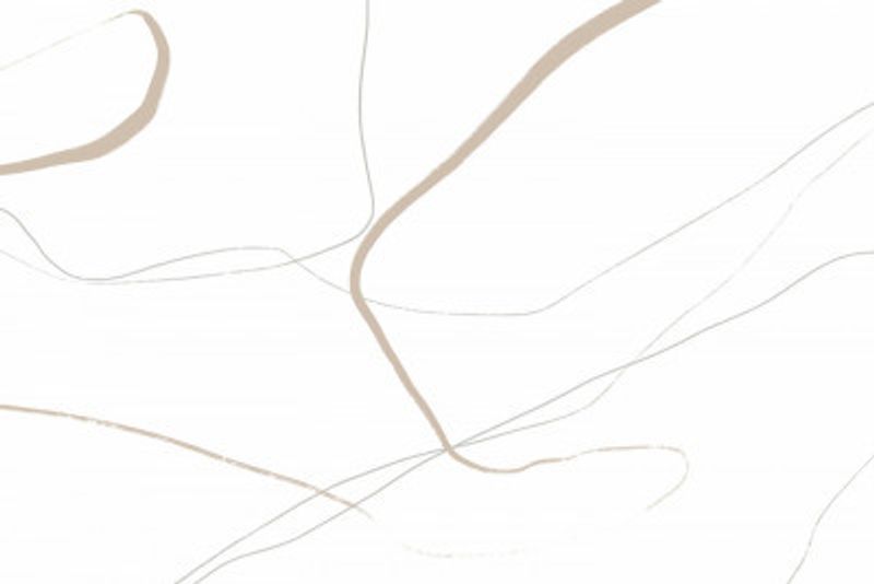 Beige And Gray Lines On A White Background