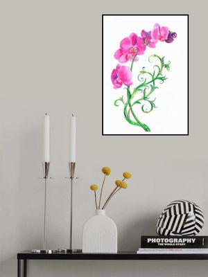 Pink and mauve Orchid