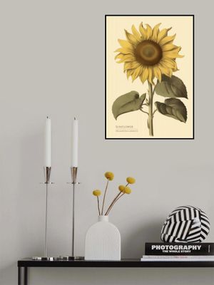 Vintage Sunflower