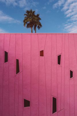 Palm Springs Vibes III