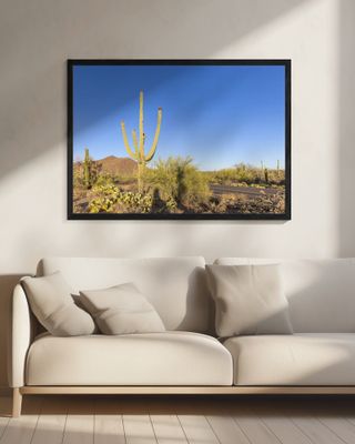 SAGUARO NATIONAL PARK Scenic impression