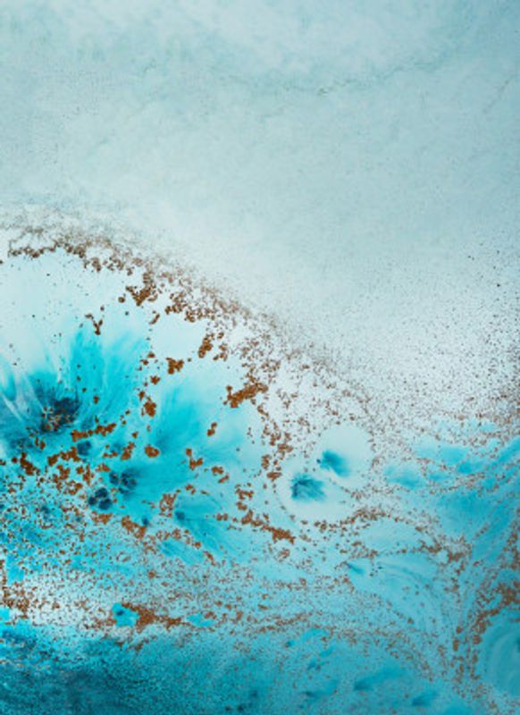 Sea Life Set 2 Upscaled Cgi 13287w Copy 2