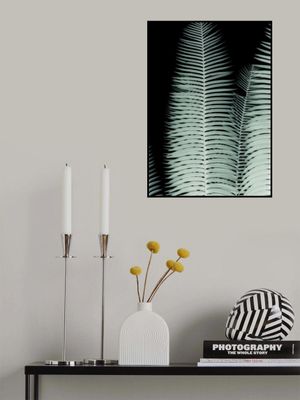 Silver Fronds Symphony