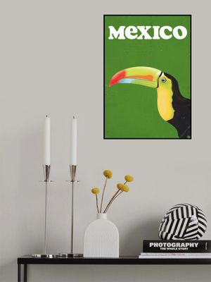 Mexico Toucan vintage Travel Poster