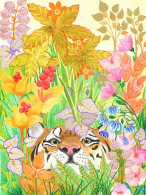 PeeringTiger  Hidden Tropics