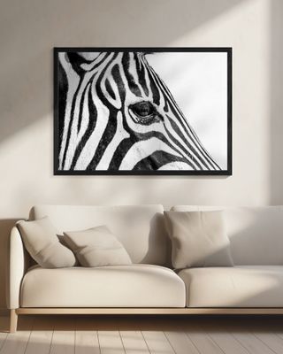 Zebra In Black & White