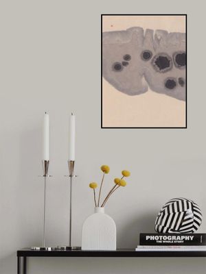 Study N°7 | Epidermis