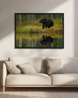 Bear and fish ***
