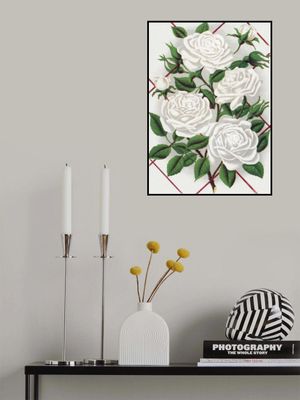 White Rose, Baltimore Belle Lithograph