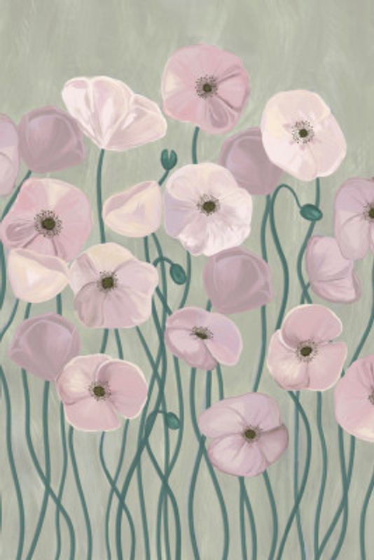 Light Poppies
