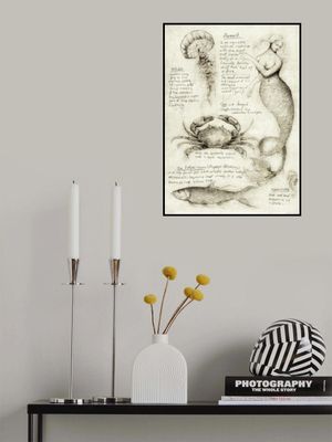 Mythical And Marine Creatures