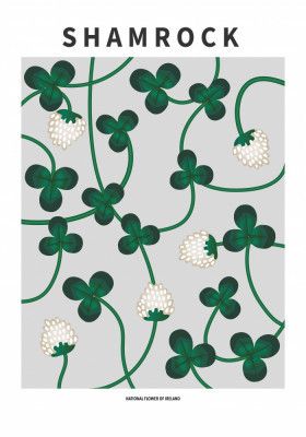 Shamrock - National flower of Ireland