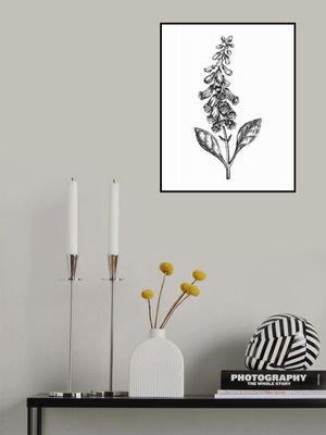 Foxglove (Digitalis)